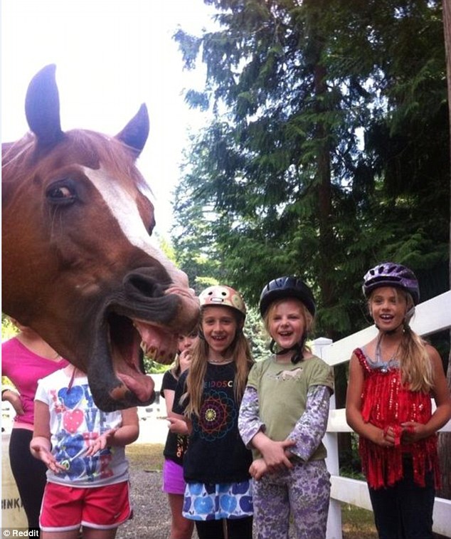2D6969C000000578-3272515-Well_you_said_smile_This_horse_wasn_t_impressed_at_being_left_ou-a-9_1444901535572