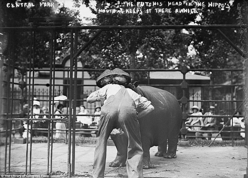 2DA0E0F400000578-3282754-Daring_Back_in_the_day_attractions_at_the_zoo_in_Central_Park_in-a-27_1445587040669