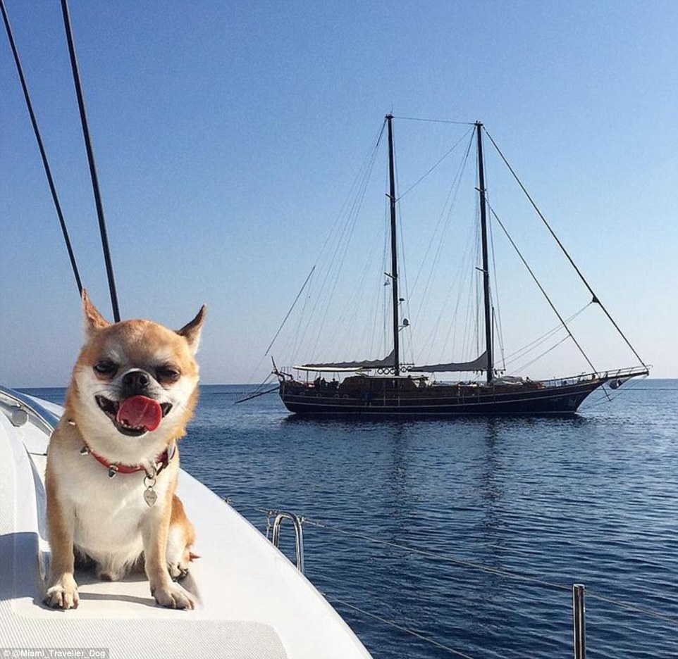 2DDD79C900000578-3293523-Yacht_life_Miami_enjoys_a_life_of_luxury_while_on_a_trip_to_Gree-m-69_1446041776276