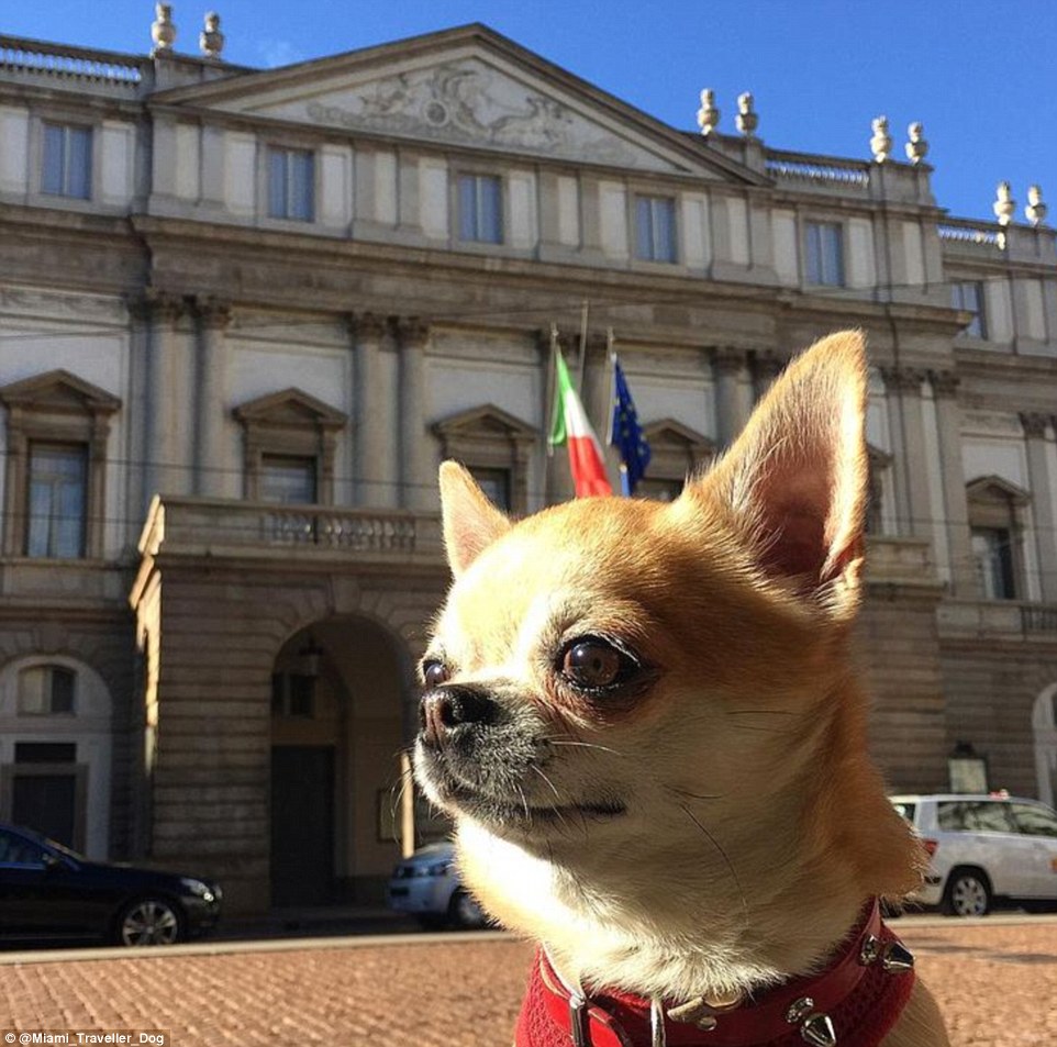 2DDD7A6500000578-3293523-One_of_the_attractions_he_has_visited_is_the_La_Scala_Theatre_in-m-68_1446041656405