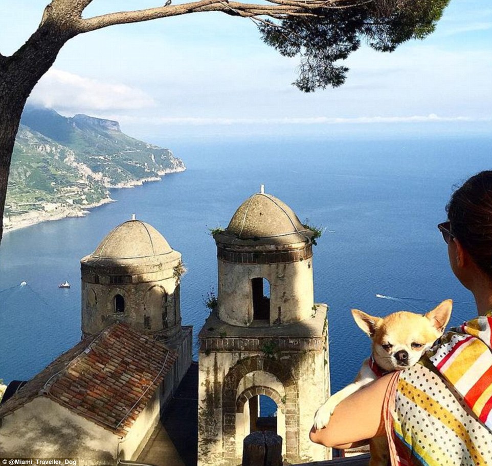 2DDD7A8E00000578-3293523-While_exploring_his_home_country_Italy_Miami_witnessed_sights_su-m-73_1446042019972