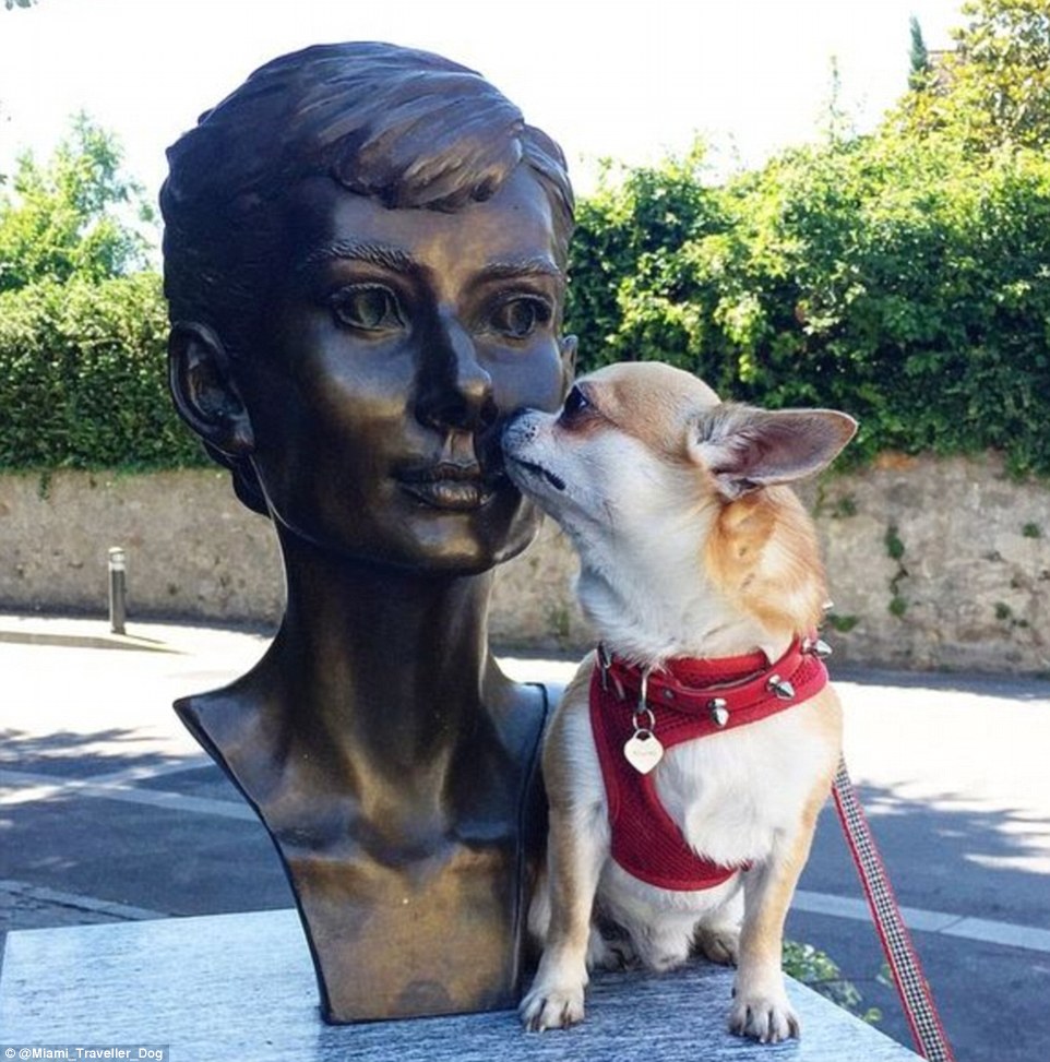 2DDF9FF100000578-3293523-Miami_has_visited_the_square_dedicated_to_actress_Audrey_Hepburn-m-64_1446041343492