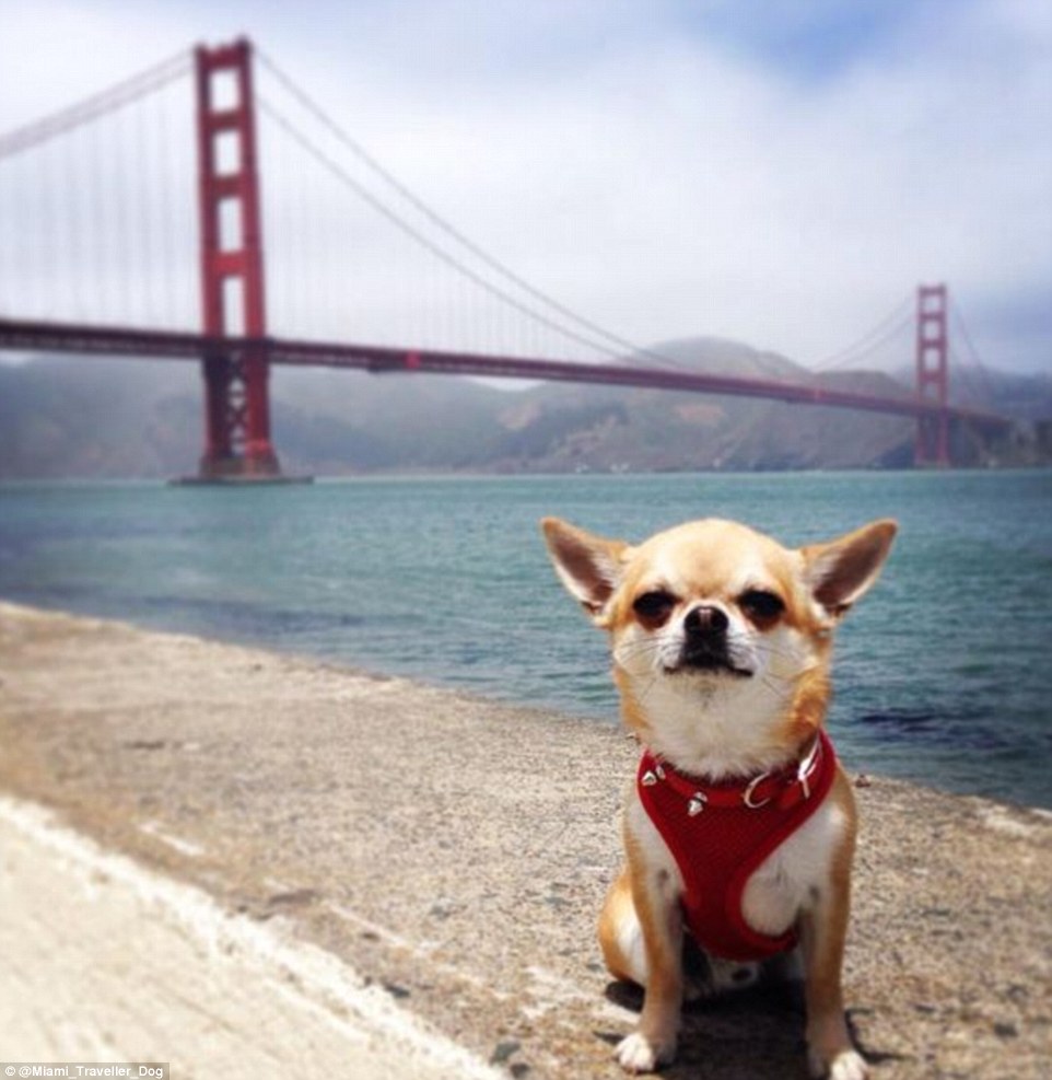 2DDFA0AE00000578-3293523-Another_one_off_the_bucketlist_While_Miami_was_visiting_San_Fran-m-70_1446041826640