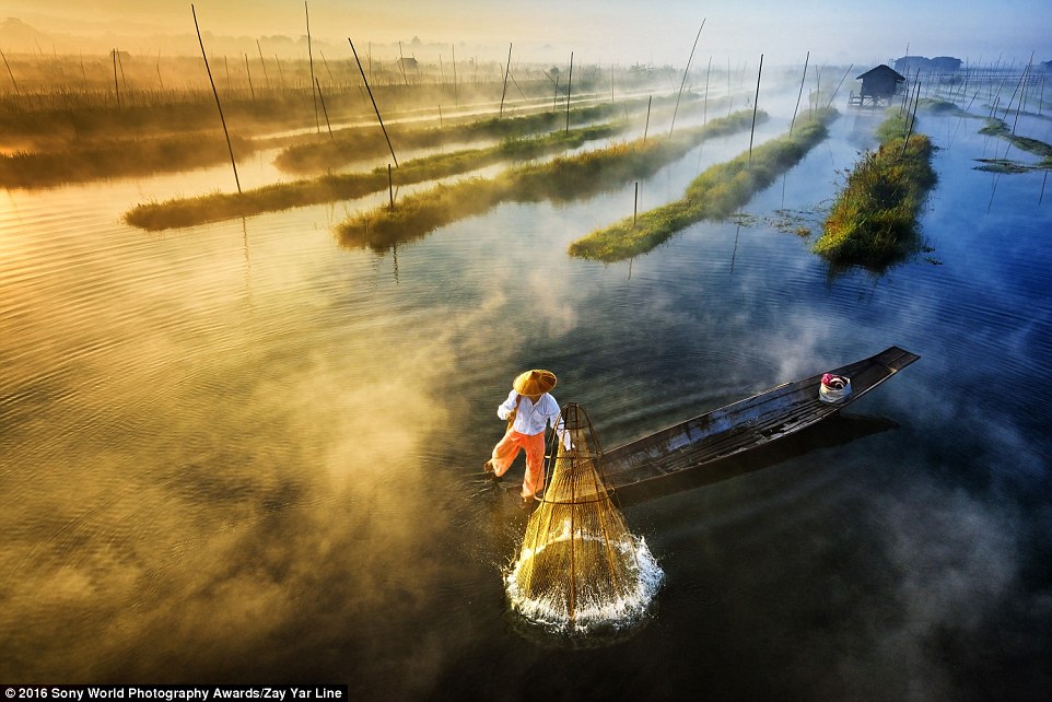 2DF29E7300000578-3296769-Zay_Yar_Line_from_Burma_shared_this_image_of_a_fisherman_leg_row-a-1_1446221666962