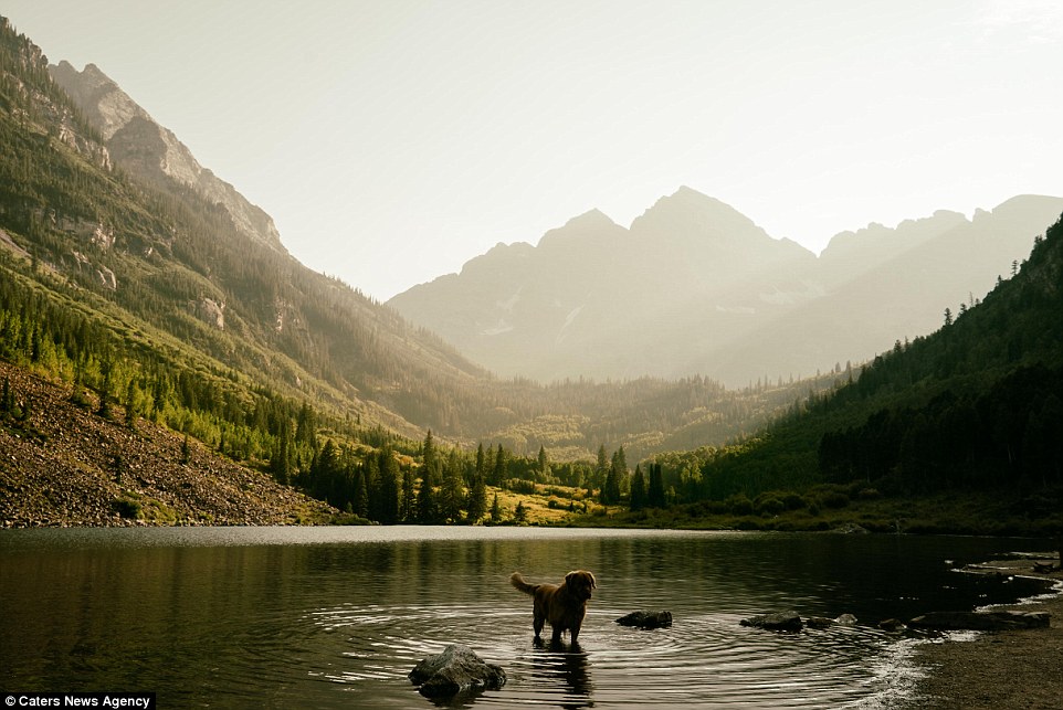 2E21919E00000578-3305041-Aspen_s_family_let_him_get_thoroughly_muddy_and_wet_on_the_hikes-a-4_1446719831286