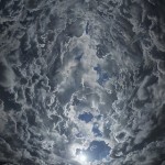 2E21A60700000578-3306137-image-a-29_1446765554600