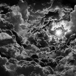 2E21A61E00000578-3306137-image-a-23_1446765435309