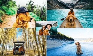 Conoce las increíbles aventuras de Aspen este precioso golden retriever que viaja con sus dueños por toda América del Norte y se está convirtiendo en una sensación de Instagram