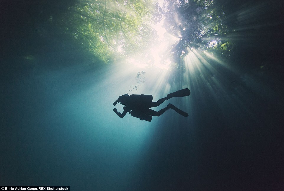 2E2B966300000578-0-This_photograph_taken_from_below_shows_light_streaming_through_t-a-75_1446818731363