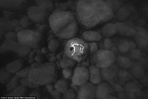 Este fotógrafo capta impresionantes retratos de sus amigos bajo el agua del mar.
