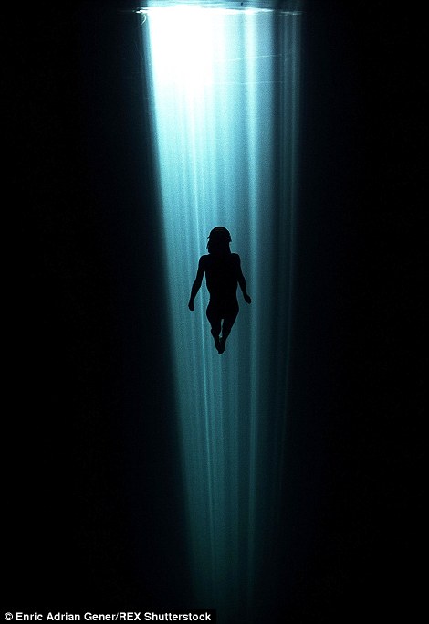 2E2BA1C600000578-0-Dark_shadows_and_patches_of_light_streaming_through_the_water_su-a-72_1446818682968