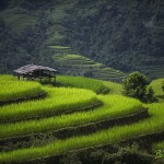 Impresionantes imágenes captan las tradiciones atemporales y la sorprendente belleza de Vietnam