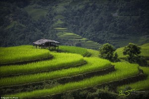 Impresionantes imágenes captan las tradiciones atemporales y la sorprendente belleza de Vietnam