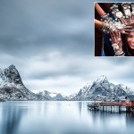 Fotografías  seleccionadas para los Sony World Photography Awards