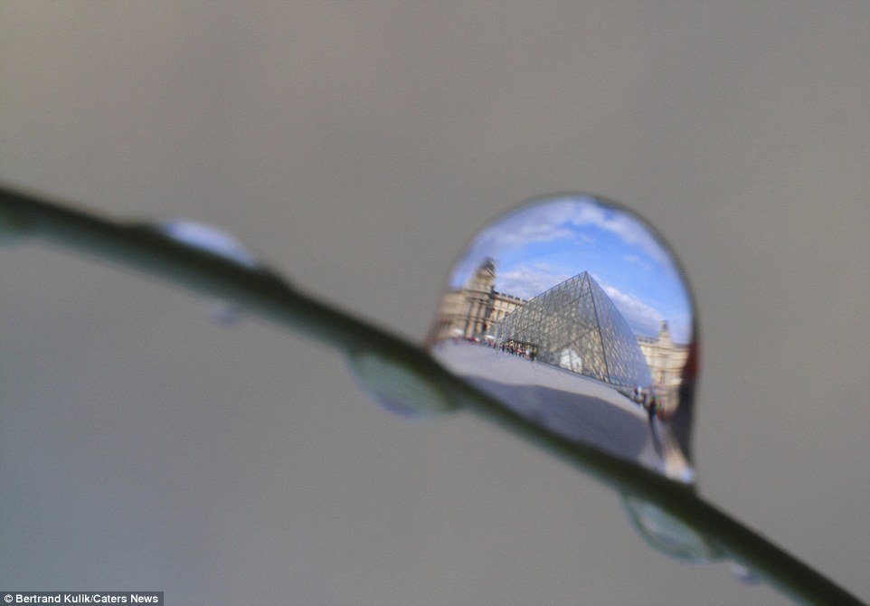 2E873BFD00000578-3321821-By_using_a_special_lens_on_his_Canon_MP_E_65mm_Bertrand_was_able-a-23_1447764478201