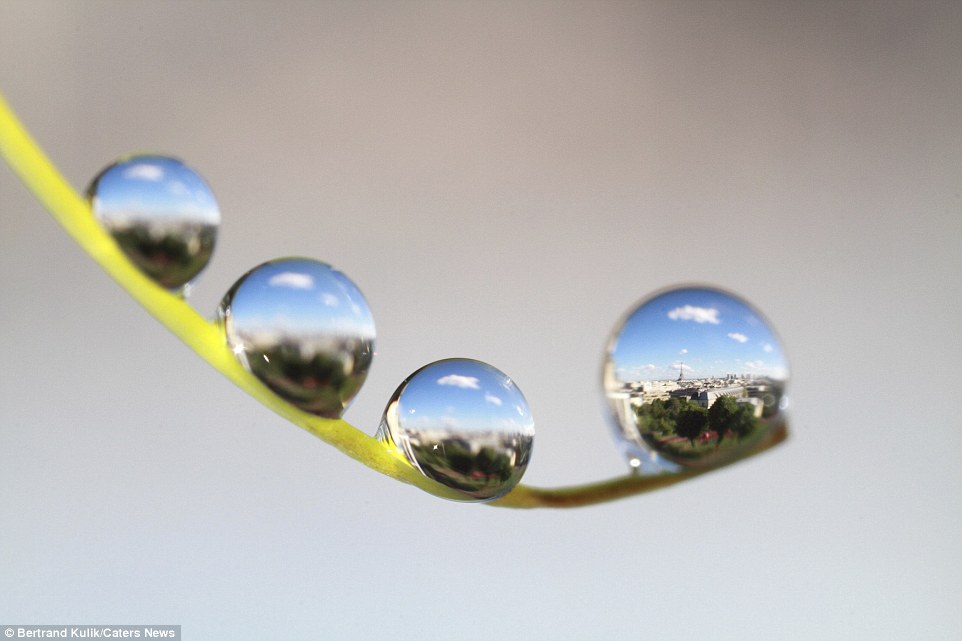 2E873DB300000578-3321821-Using_the_special_macro_photography_technique_Bertrand_was_able_-a-30_1447764561026