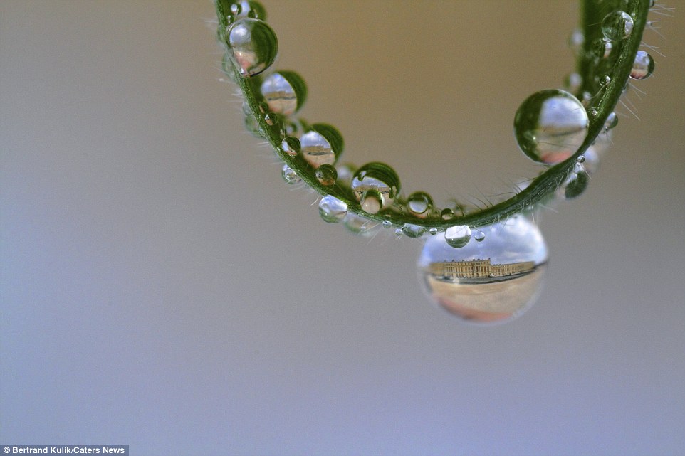 2E873E5A00000578-3321821-_The_drops_are_like_a_very_small_photo_lens_and_can_be_used_to_v-a-27_1447764524273