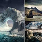 Belleza extrema: Imágenes impresionantes de un viaje a través de la Antártida