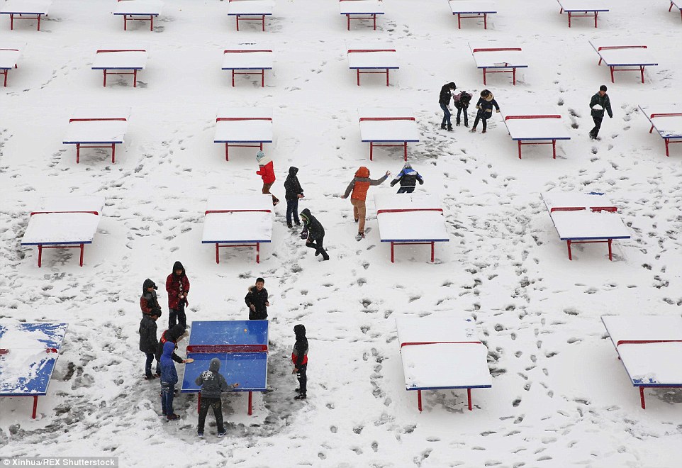 2ED338FA00000578-3335083-Nothing_is_stopped_them_Students_play_table_tennis_in_snow_at_a_-a-14_1448552590175