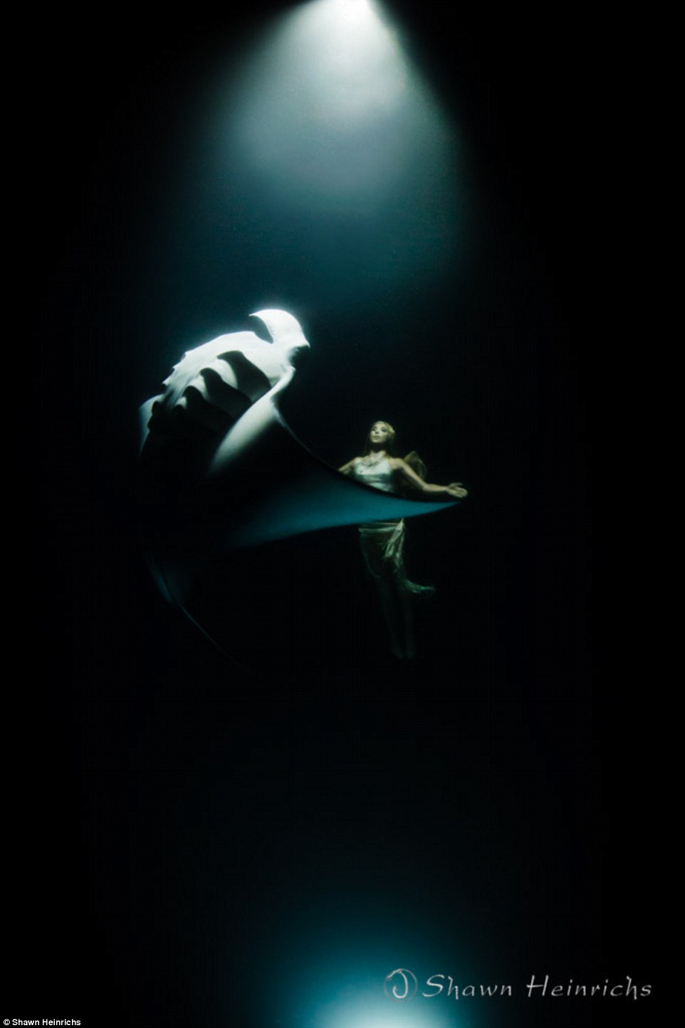 2F2D589D00000578-3307282-So_close_Hannah_interacts_with_a_manta_ray_as_she_wears_a_mermai-a-49_1449615326782