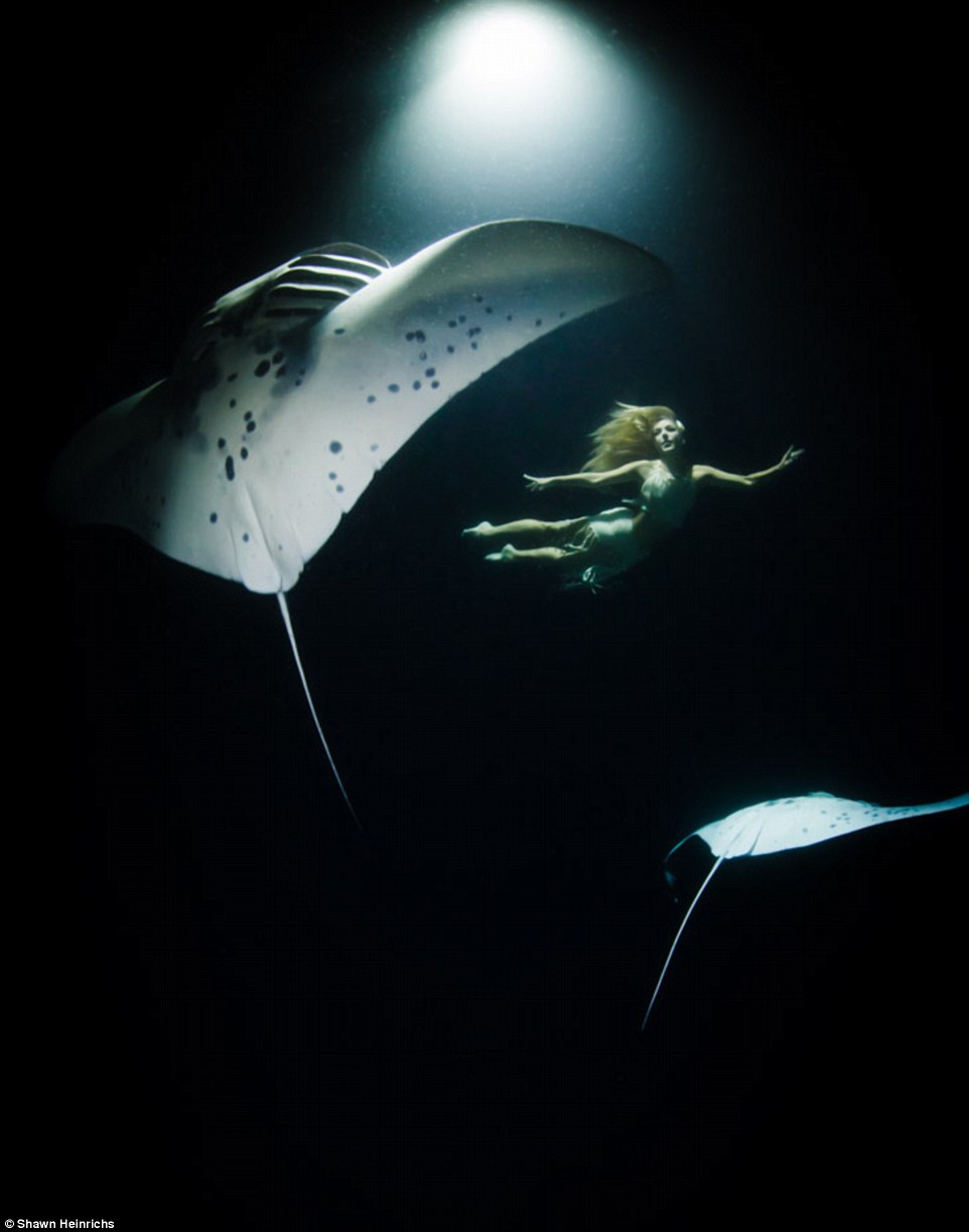 2F2D5F6400000578-3307282-Stunning_Hannah_an_underwater_performer_who_previously_worked_wi-a-124_1449666092734