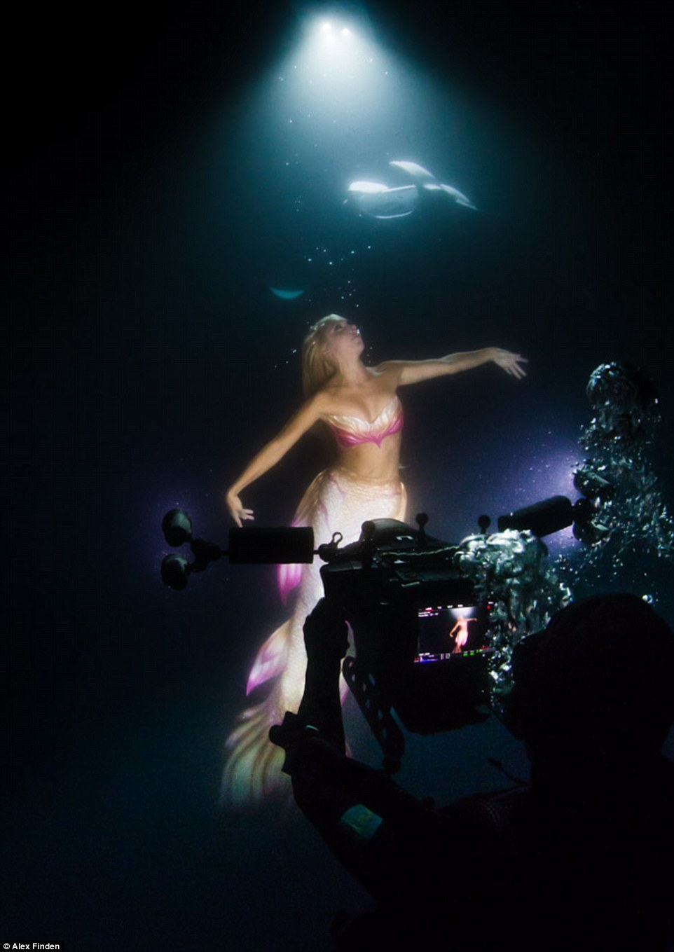 2F2D6C6100000578-3307282-How_do_they_do_it_Shawn_an_Emmy_award_winning_cinematographer_wh-a-126_1449666134699