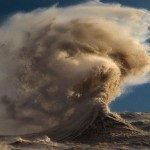 30C8DBF800000578-0-image-a-37_1454338831909