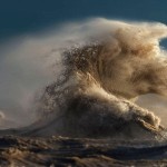 30C8E72A00000578-0-image-a-51_1454339789112