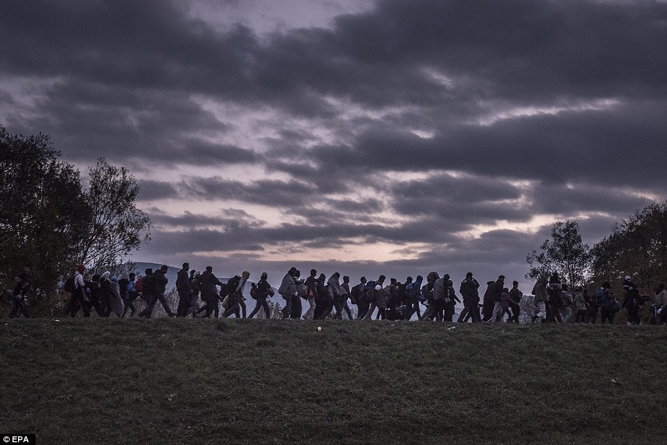 3157103100000578-3452659-The_picture_shows_migrants_walking_atop_a_dike_as_Slovenian_riot-a-27_1455813039756