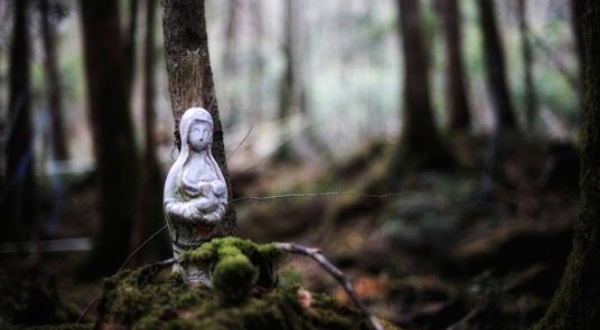 Bosque-Aokigahara-Japón.-Foto-de-Antoinette-Zapata-en-Pinterest