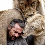Imágenes increíbles muestran la unión entre un hombre y una manada de leones.